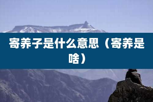 寄养子是什么意思(寄养是啥)