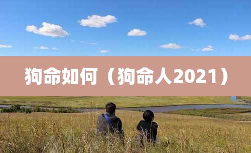 狗命如何(狗命人2021)