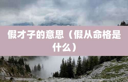 假才子的意思(假从命格是什么)