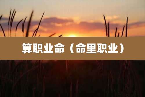 算职业命(命里职业)