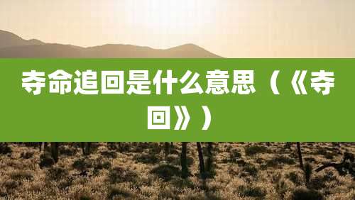 夺命追回是什么意思(《夺回》)