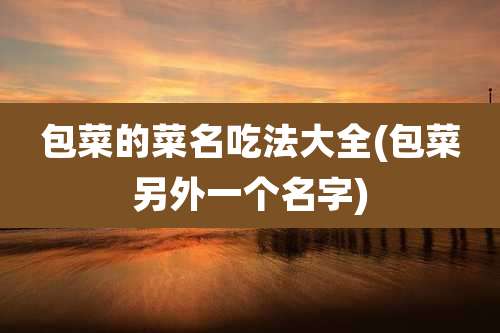 包菜的菜名吃法大全(包菜另外一个名字)