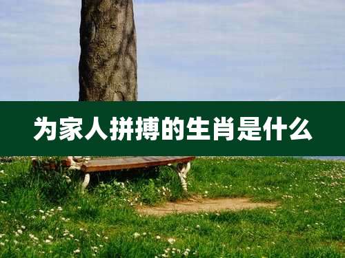 为家人拼搏的生肖是什么