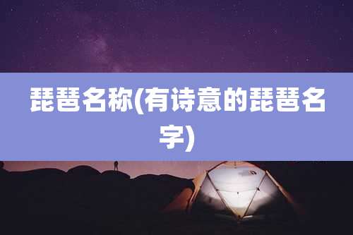 琵琶名称(有诗意的琵琶名字)