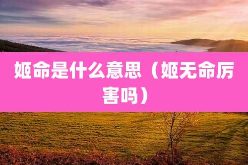 姬命是什么意思(姬无命厉害吗)