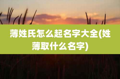薄姓氏怎么起名字大全(姓薄取什么名字)