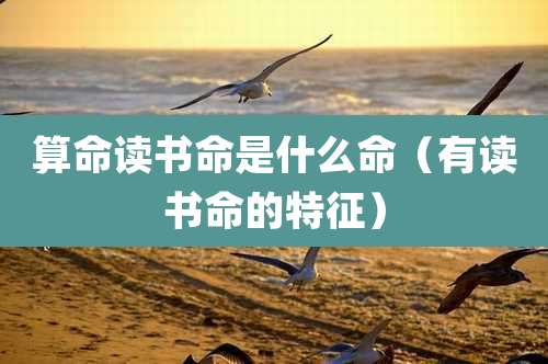 算命读书命是什么命(有读书命的特征)