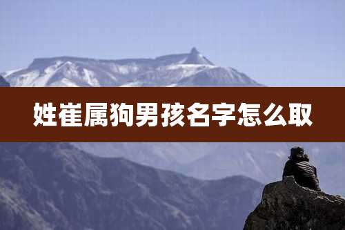 姓崔属狗男孩名字怎么取