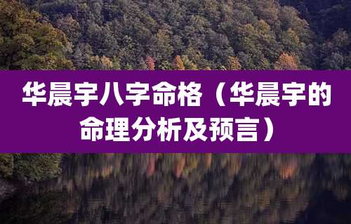 华晨宇八字命格(华晨宇的命理分析及预言)