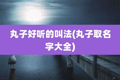 丸子好听的叫法(丸子取名字大全)