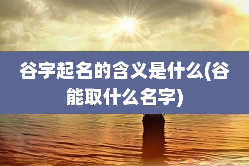 谷字起名的含义是什么(谷能取什么名字)