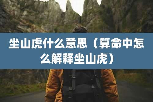 坐山虎什么意思(算命中怎么解释坐山虎)