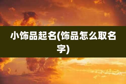 小饰品起名(饰品怎么取名字)