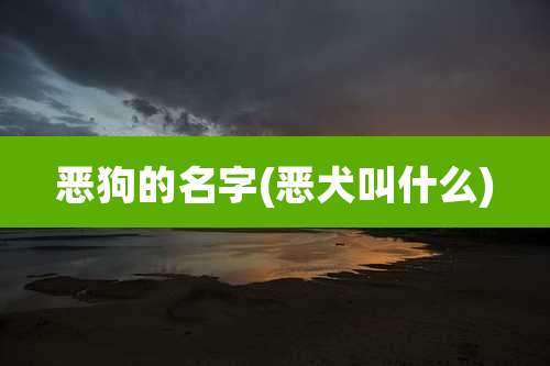 恶狗的名字(恶犬叫什么)