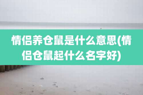 情侣养仓鼠是什么意思(情侣仓鼠起什么名字好)