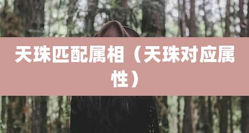 天珠匹配属相(天珠对应属性)