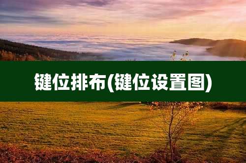 键位排布(键位设置图)