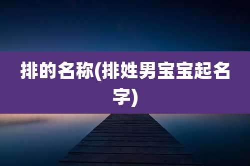 排的名称(排姓男宝宝起名字)