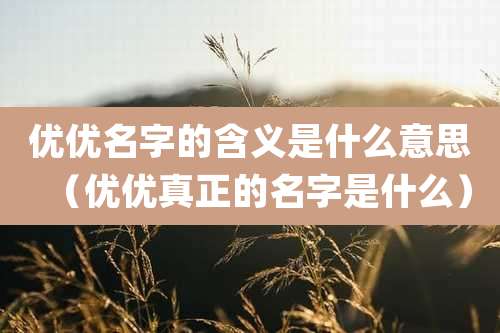 优优名字的含义是什么意思(优优真正的名字是什么)