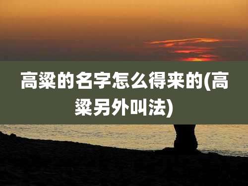 高粱的名字怎么得来的(高粱另外叫法)