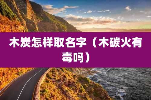 木炭怎样取名字(木碳火有毒吗)