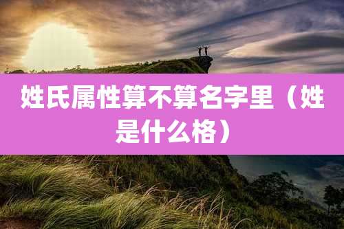 姓氏属性算不算名字里(姓是什么格)