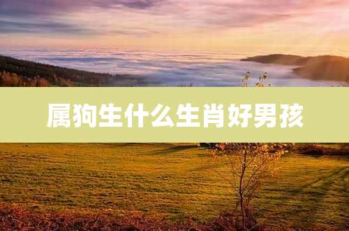 属狗生什么生肖好男孩