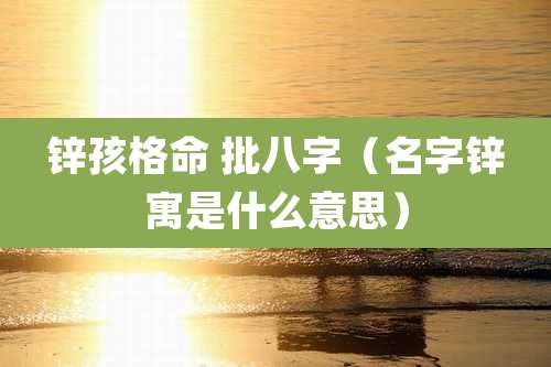锌孩格命 批八字(名字锌寓是什么意思)