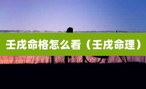壬戌命格怎么看(壬戌命理)