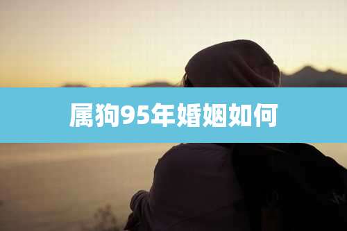 属狗95年婚姻如何