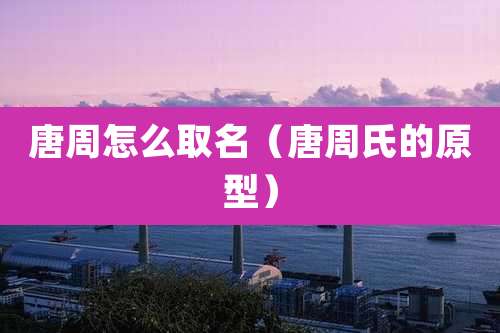 唐周怎么取名(唐周氏的原型)