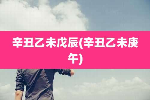 辛丑乙未戊辰(辛丑乙未庚午)