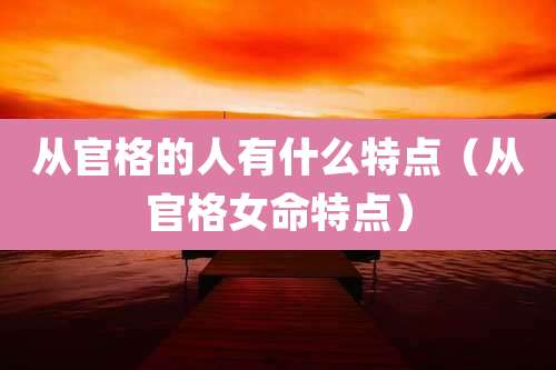 从官格的人有什么特点(从官格女命特点)