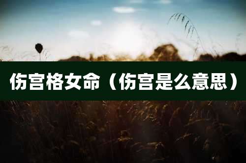 伤宫格女命(伤宫是么意思)