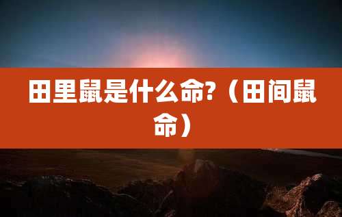 田里鼠是什么命?(田间鼠命)