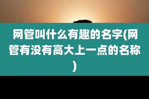 网管叫什么有趣的名字(网管有没有高大上一点的名称)