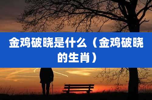 金鸡破晓是什么(金鸡破晓的生肖)