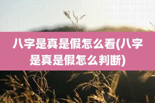 八字是真是假怎么看(八字是真是假怎么判断)