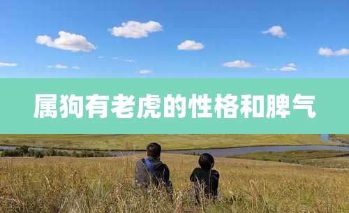 属狗有老虎的性格和脾气