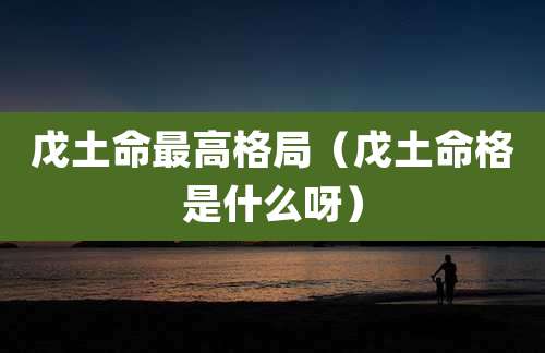 戊土命最高格局(戊土命格是什么呀)