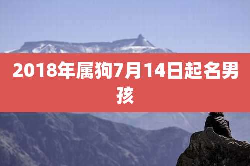 2018年属狗7月14日起名男孩