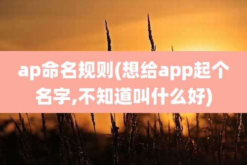 ap命名规则(想给app起个名字,不知道叫什么好)