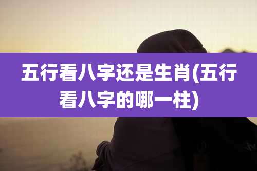 五行看八字还是生肖(五行看八字的哪一柱)