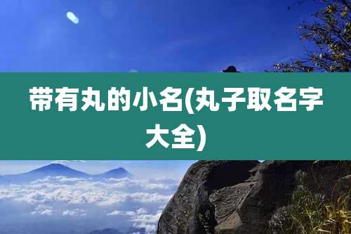 带有丸的小名(丸子取名字大全)