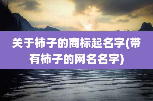 关于柿子的商标起名字(带有柿子的网名名字)