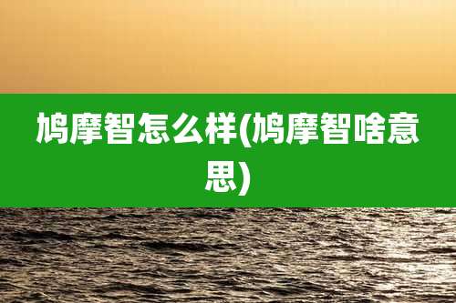 鸠摩智怎么样(鸠摩智啥意思)
