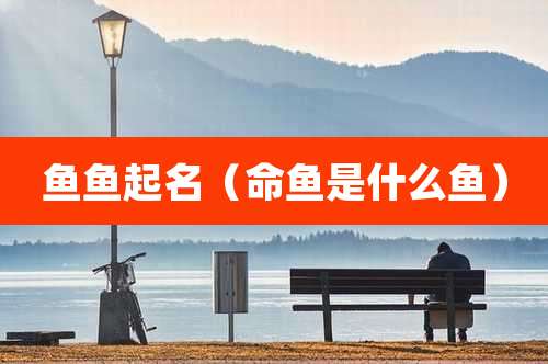 鱼鱼起名(命鱼是什么鱼)