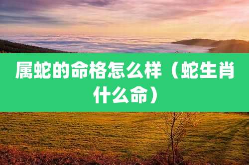 属蛇的命格怎么样(蛇生肖什么命)