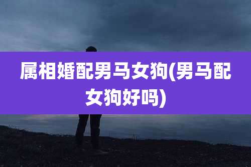 属相婚配男马女狗(男马配女狗好吗)