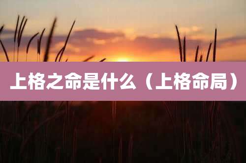 上格之命是什么（上格命局）